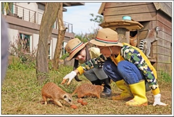 館內動物互動系列