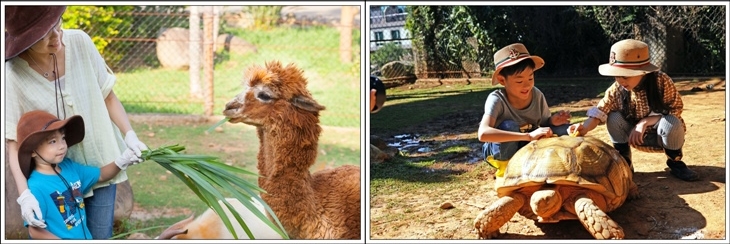 館內動物互動系列