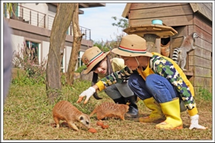 館內動物互動系列