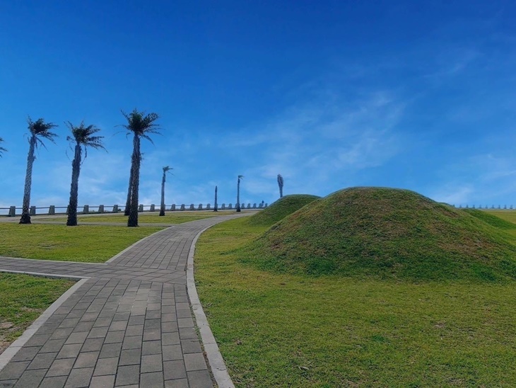 萬里抹茶小山丘