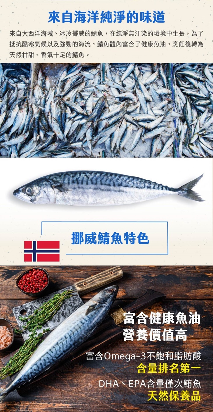 金海昌水產 挪威薄鹽鲭魚片6片 160g 片 超值優惠方案 Gomaji夠麻吉