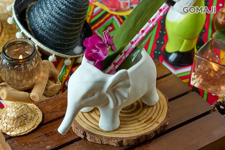 南洋群島騎大象