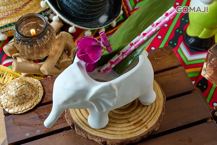 南洋群島騎大象