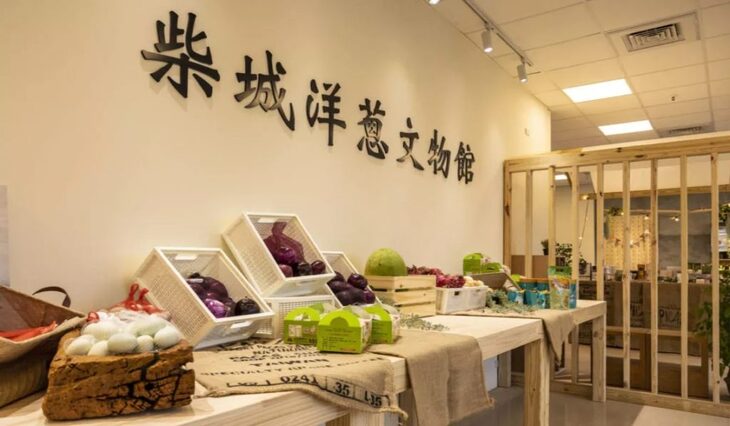 柴城洋蔥文物館