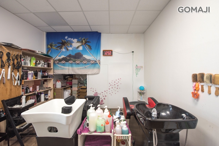 靚莉 純萃美髮生活坊