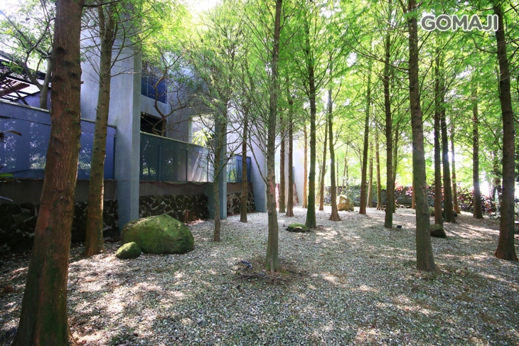 雲林-華山觀止虫二行館