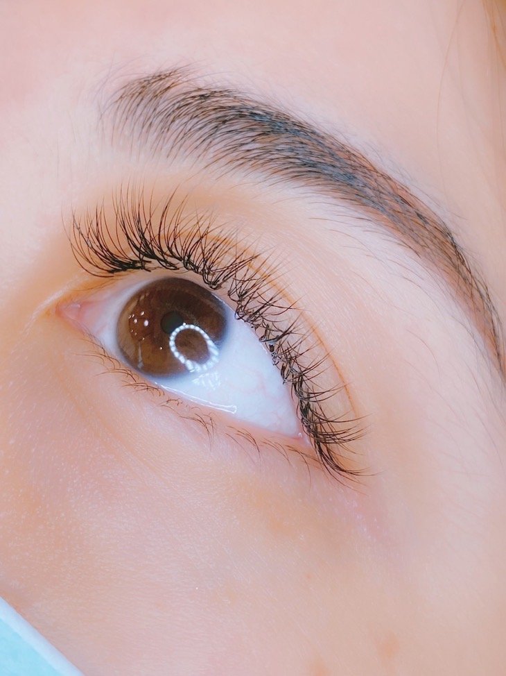 氣質綻放山茶花400根