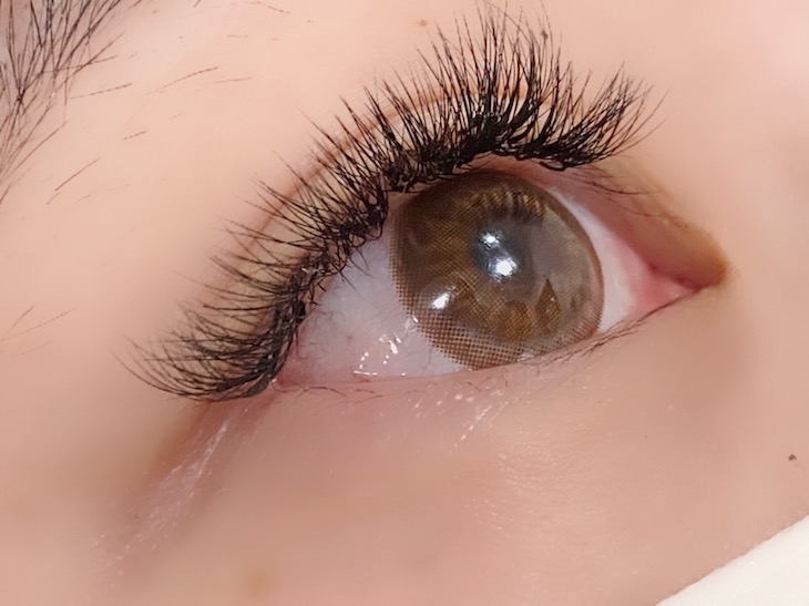 氣質綻放山茶花400根