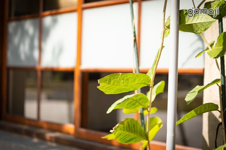 魯小お食事処-和牛可樂餅專賣店