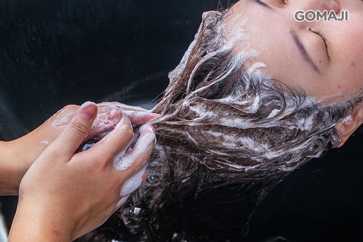 Seemoli控油潔淨洗髮 