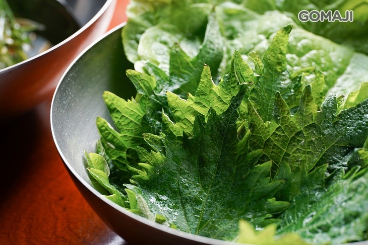 契約農家直送生菜、芝麻葉、高麗菜沙拉