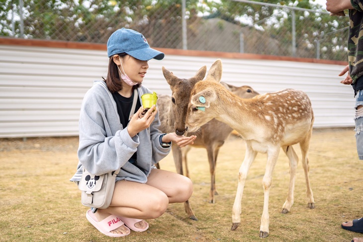 鹿粼梅花鹿園區