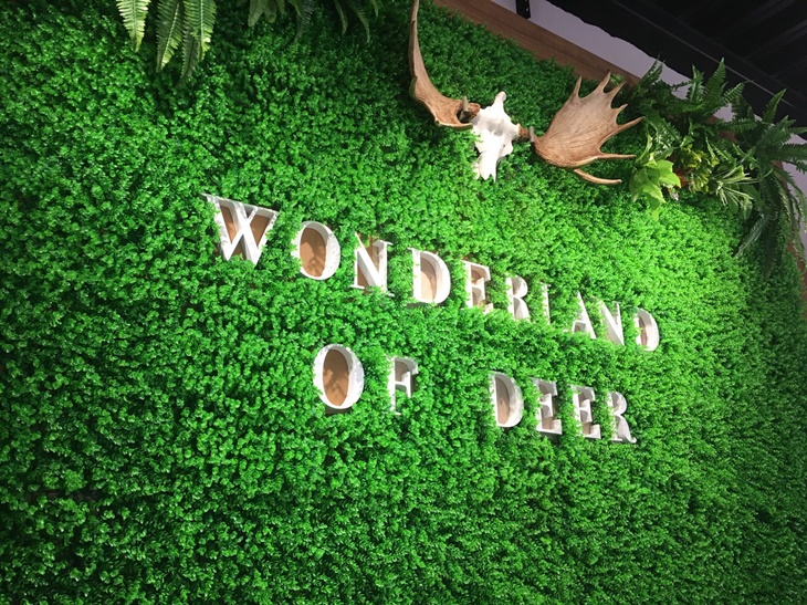 小琉球-鹿粼梅花鹿園區