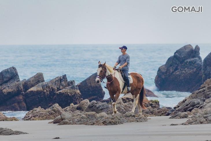 宜蘭-外澳小山丘馬場