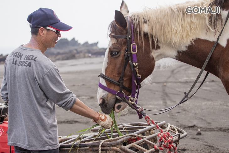 宜蘭-外澳小山丘馬場
