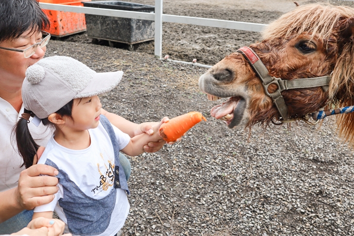 宜蘭-外澳小山丘馬場