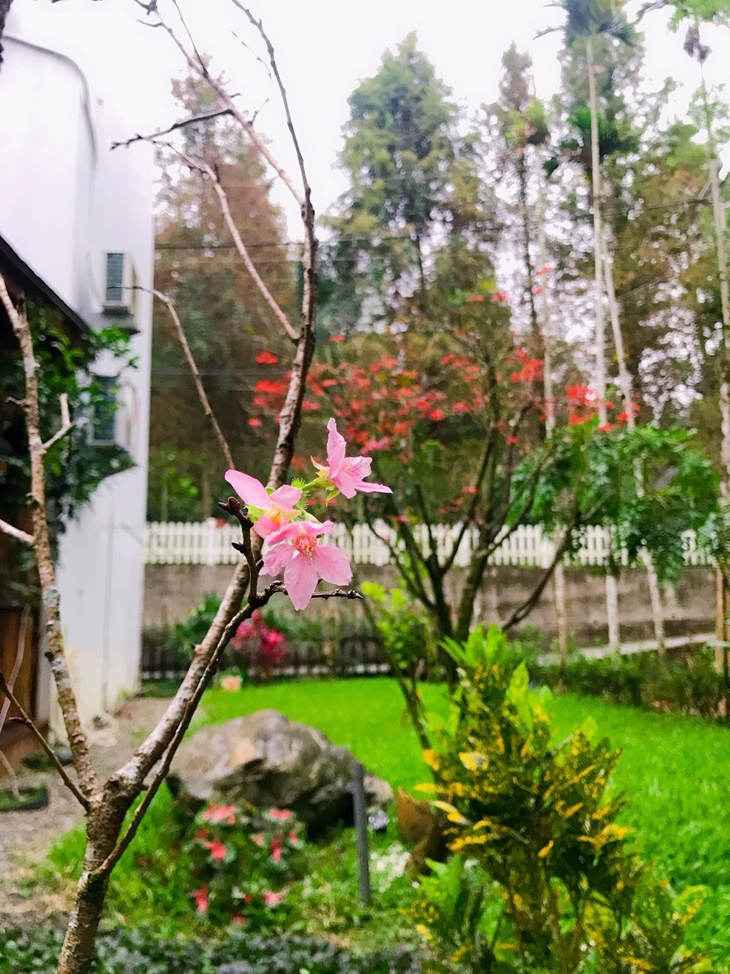 日月潭-星月秘境