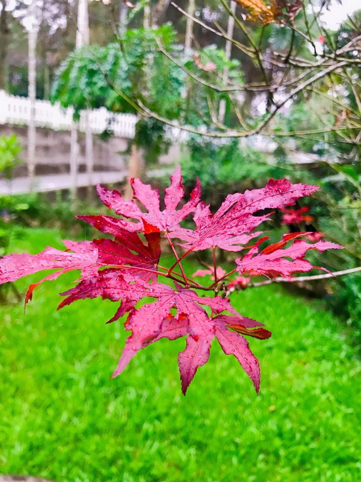 日月潭-星月秘境