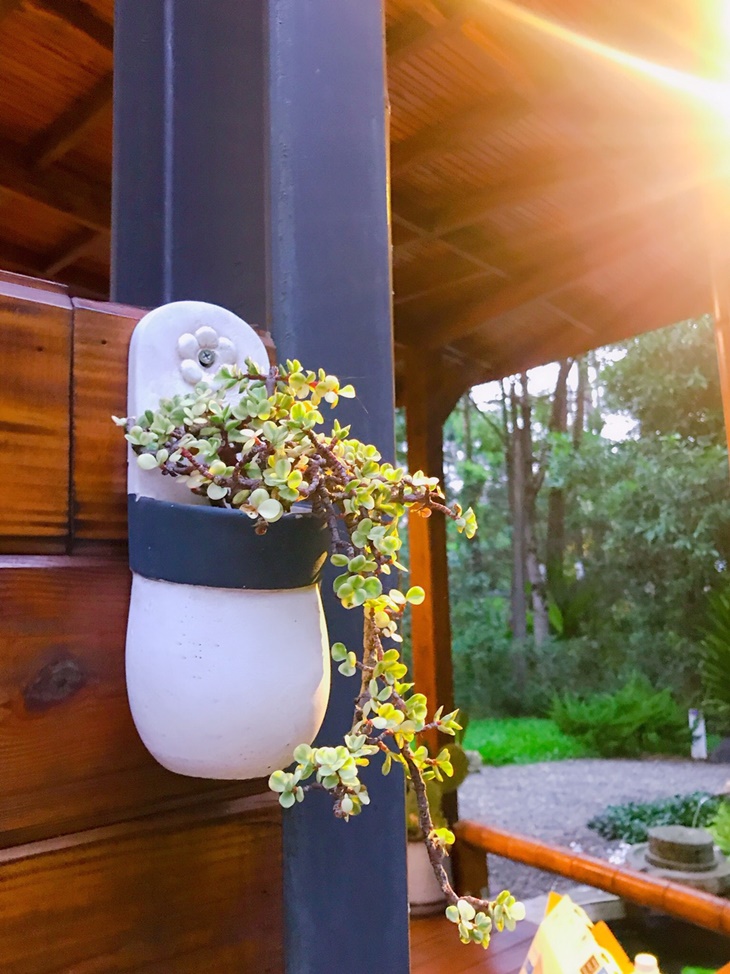 日月潭-星月秘境