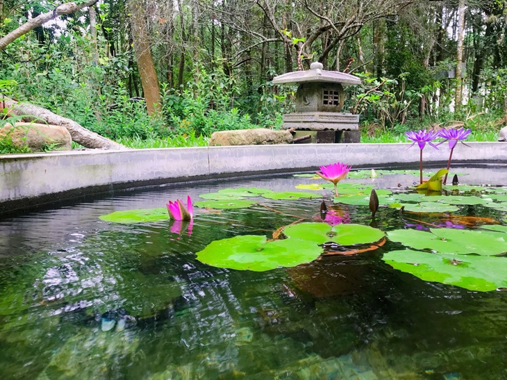 日月潭-星月秘境