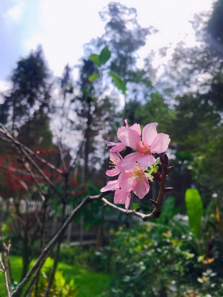 日月潭-星月秘境