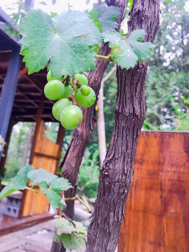 日月潭-星月秘境