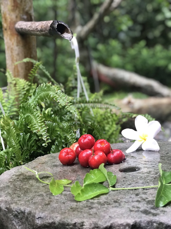 日月潭-星月秘境