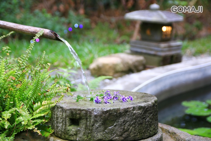 日月潭-星月秘境