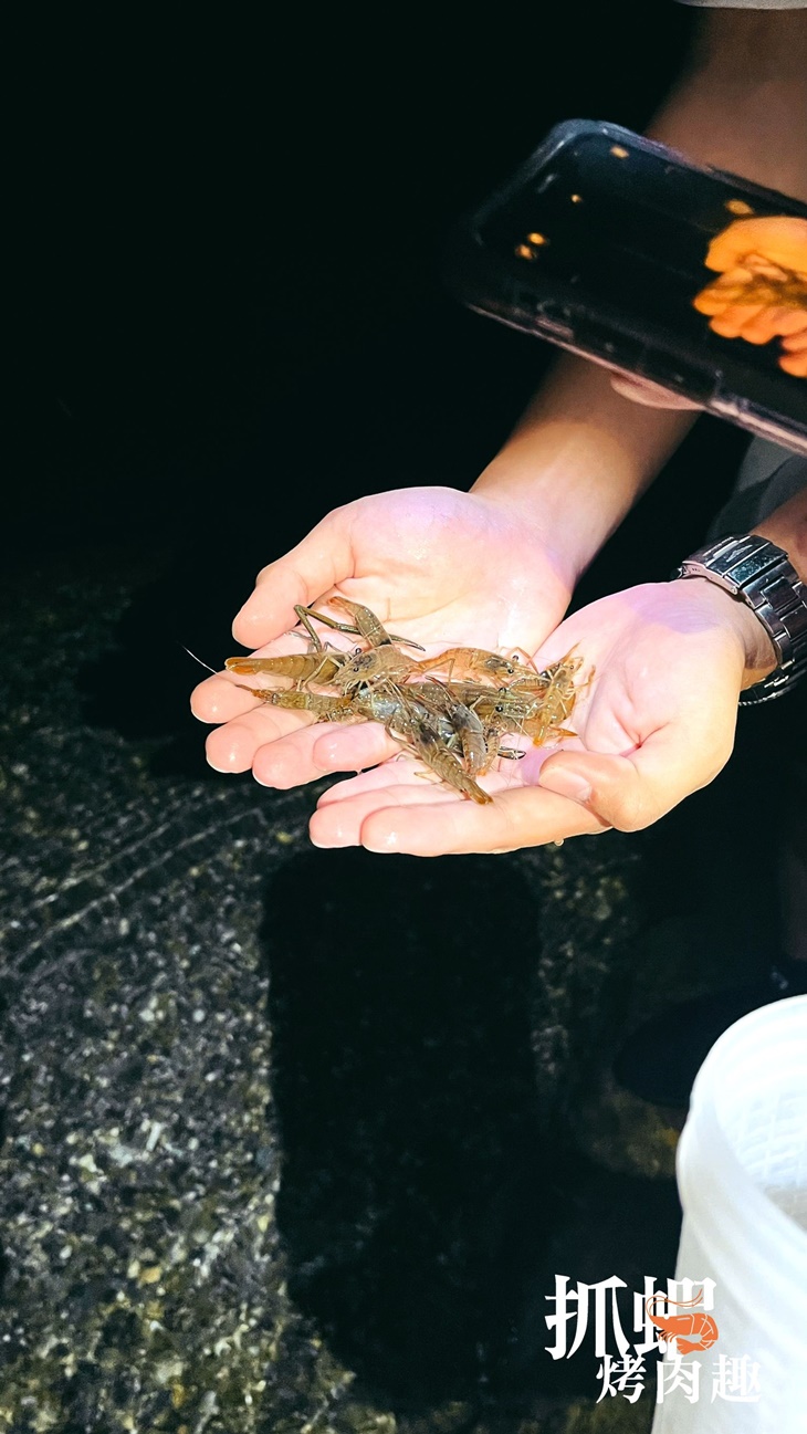 夜間抓蝦烤肉