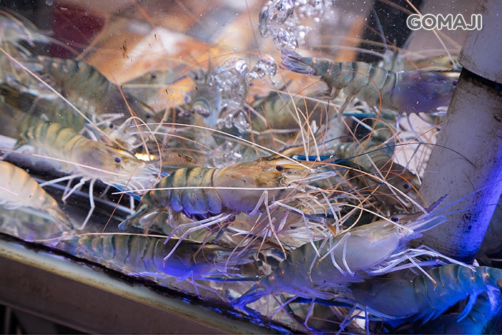 泰蝦樂 水道泰國蝦吃到飽