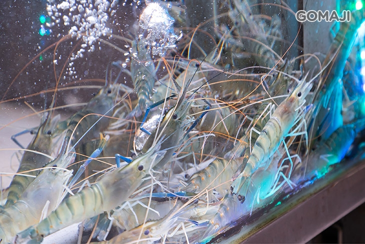 泰蝦樂 水道泰國蝦吃到飽