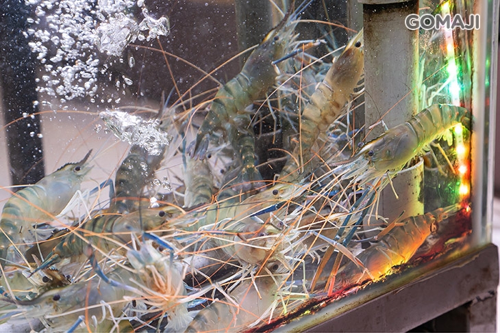 泰蝦樂 水道泰國蝦吃到飽