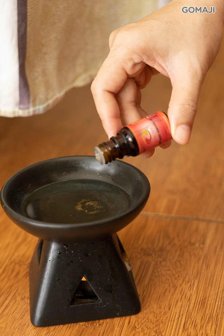 嗅吸植物與人體相對應的美麗關係專屬系統精油導引課程入門