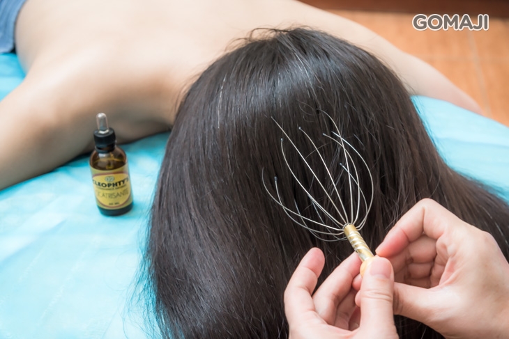 水母爪經絡導引