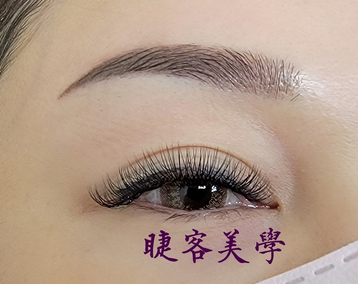 C方案