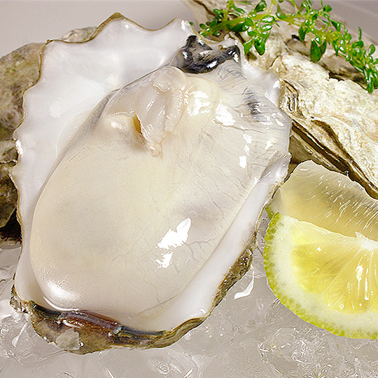 美国鲜冻巨无霸大生蚝不管煎,煮,炒,炸都好美味,多元的料理方式