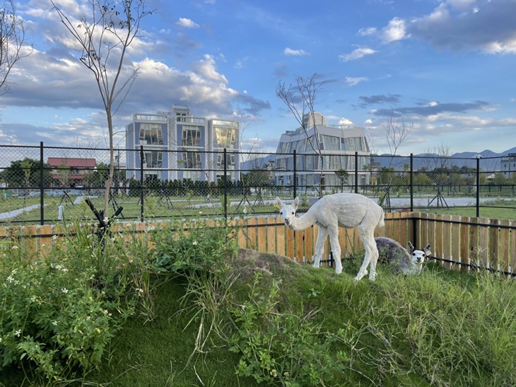 可愛動物園區參觀