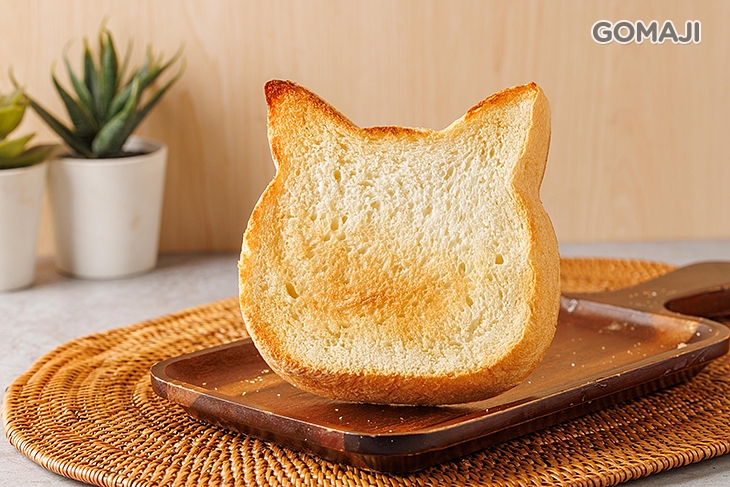 貓咪生吐司買一送一