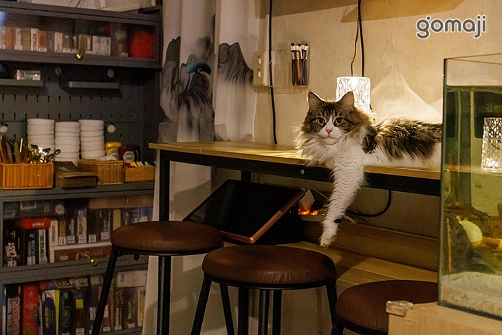 貓醉漁棧‧駐唱‧餐酒館