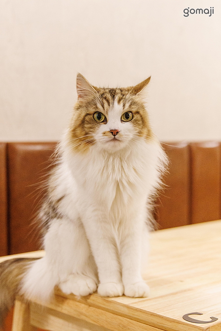 貓醉漁棧‧駐唱‧餐酒館