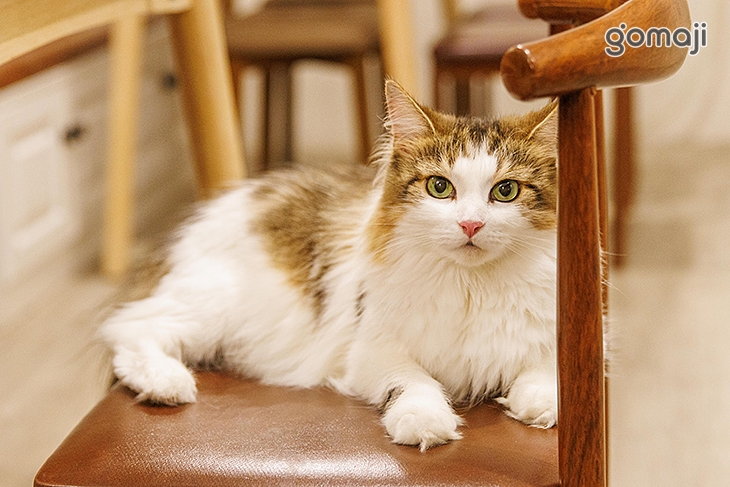 貓醉漁棧‧駐唱‧餐酒館