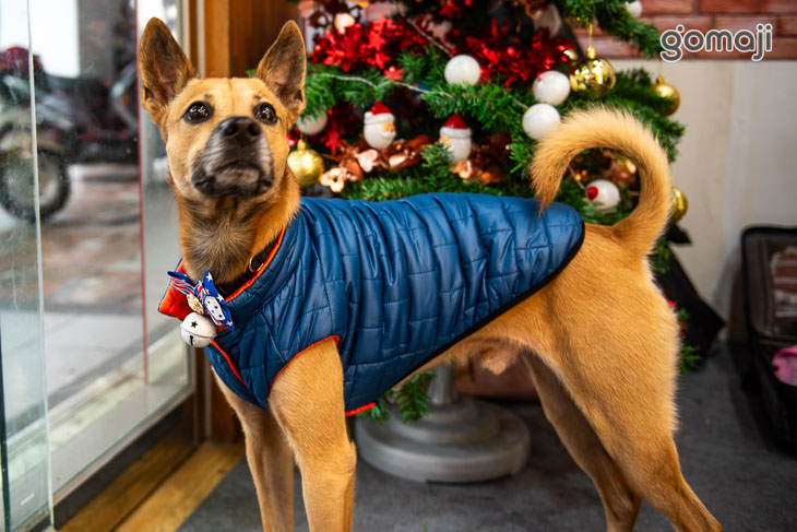 回憶小時候(崇明店)