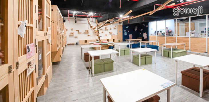 呼嚕基地貓咪桌遊咖啡廳