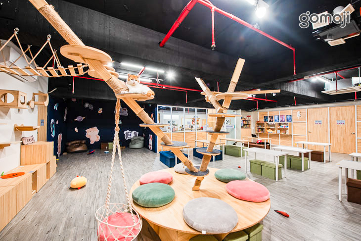 呼嚕基地貓咪桌遊咖啡廳