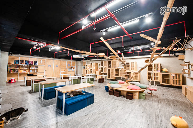 呼嚕基地貓咪桌遊咖啡廳