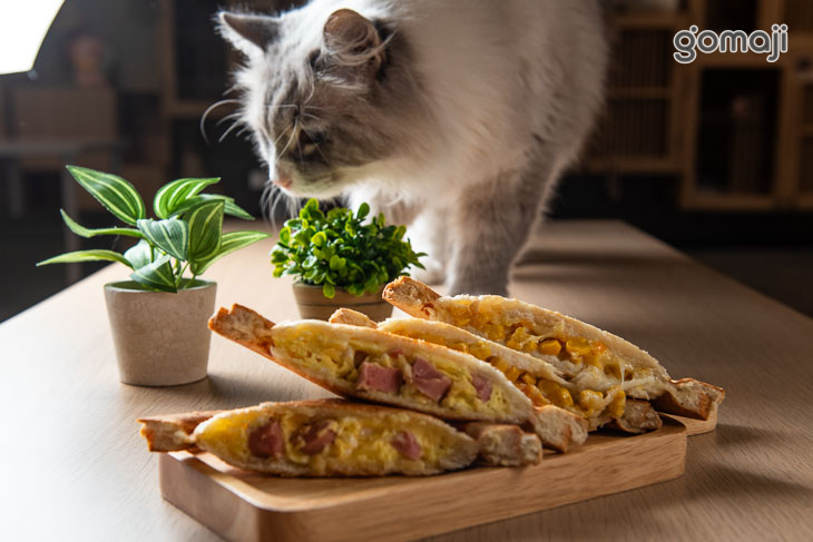 熱狗嫩蛋/起司玉米熱壓土司