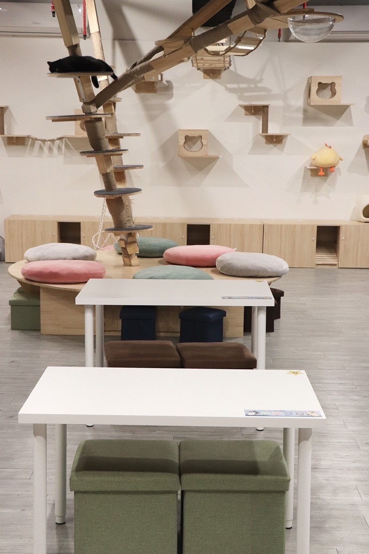 呼嚕基地貓咪桌遊咖啡廳