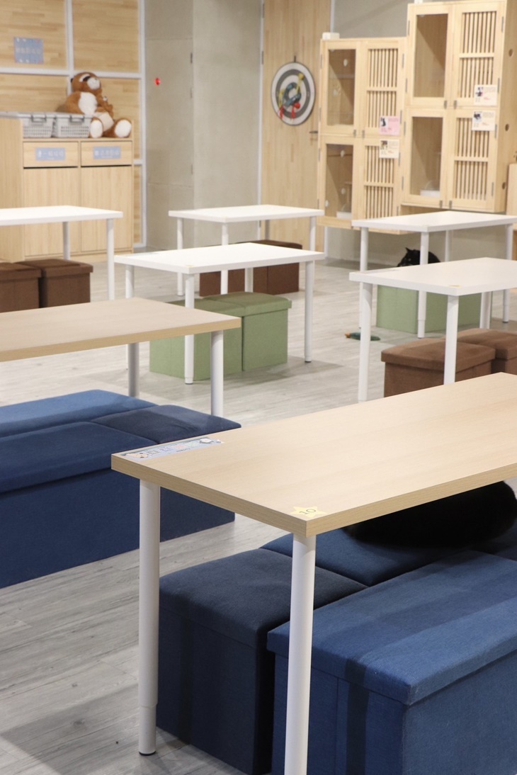 呼嚕基地貓咪桌遊咖啡廳