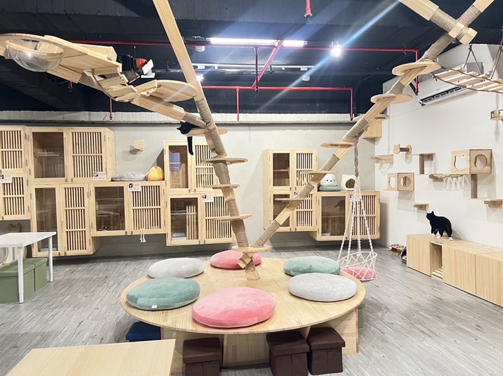 呼嚕基地貓咪桌遊咖啡廳