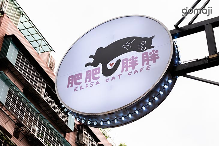 伊莉莎肥肥胖胖Cat.Cafe (中原店)